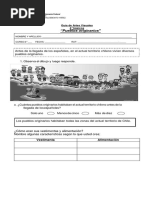 Guia de Refuerzo Pueblos Originarios Artes.