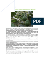 72113405-INVESTIGACION-DE-PALTA.pdf