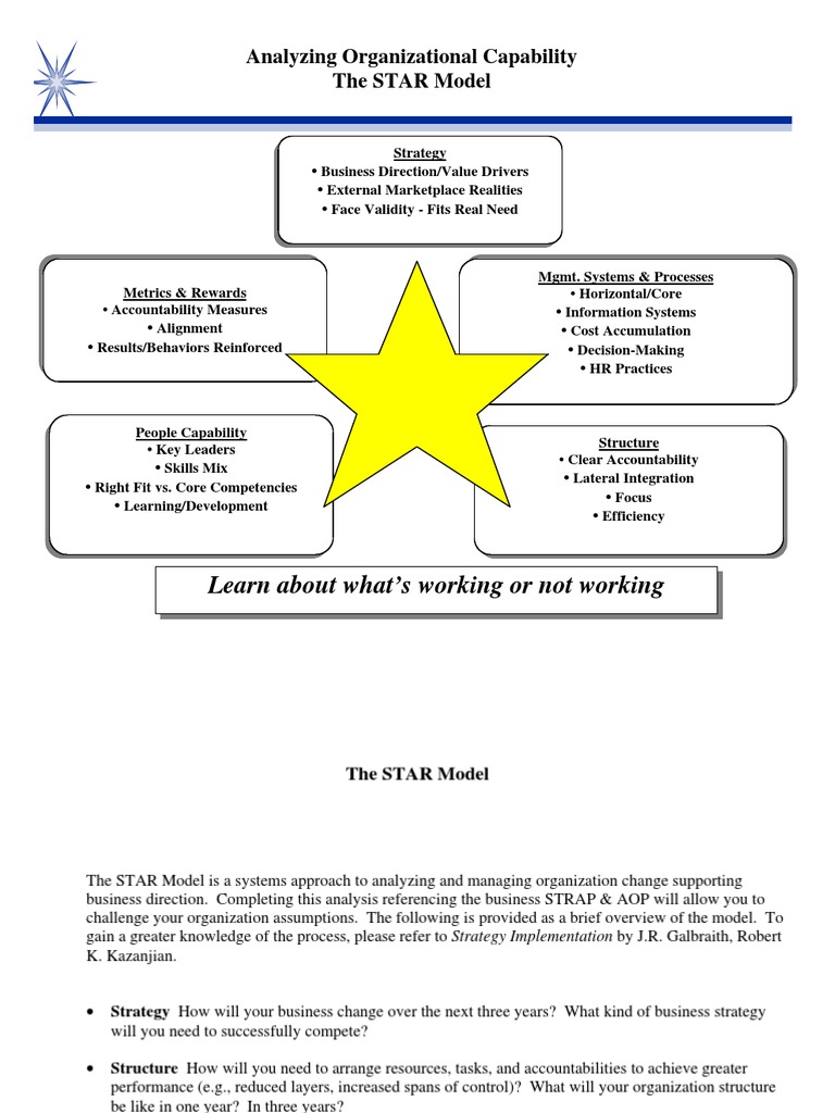Star Model Pdf Strategic Management Business Process