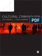 RISKA Ferrell Hayward y Young Cultural Criminology