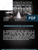 Deshidratacion del gas natural.pptx