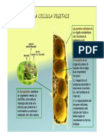 Metodi Di Raccolta e Trasformazione