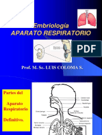 1a.-embr. Sist.respiratorioSup. 2018