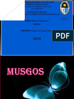 MUSGOS