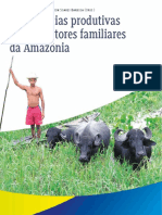 Experiencias Produtivas de Agricultores Familiares Da Amazonia Segunda Edicao