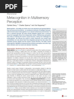 Metacognition in Multisensory Perception