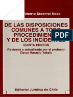 De Las Dispocisiones Comunes A Todo Procedimiento