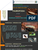 Pauropoda - Introducción a los artrópodos de pocos pies