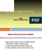 Metabolisme Protein