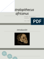 Australopithecus Africanus