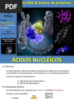 Ácidos Nucleicos - Duplicação do DNA e Síntese Protéica.ppt