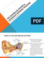 vestibular