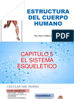 Anatomia Huesos Descripcion General