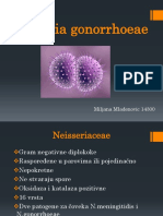 Neisseria Gonorrhoeae