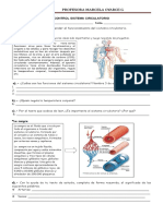 Guia Sistema Circulatorio 5 Basico