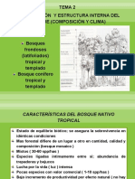 Clasificación y Estructura Interna Del Bosque (Composición y Clima)