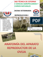 ANATOMIA DEL APARATO REPRODUCTOR DE LA OVEJA.pptx