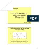 Hepatic Glucogen Metabolism Regulation