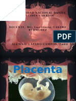 Placenta - y Sus Partes