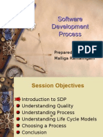 Session 1 - Software Development Process