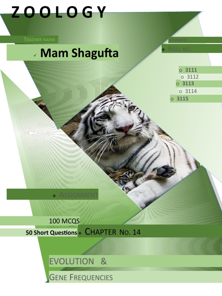 Evolution and Gene Frequencies Quiz | PDF | Evolution | Natural Selection