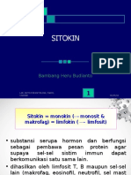 266650116-SITOKIN-ppt