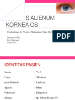 Corpus Alienum Kornea Os