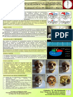 Viscuso, Matías Nicolás - Anatomía Quirúrgica Del Seno Frontal en El Trauma Craneofacial