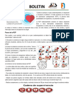 Boletin RCP PDF