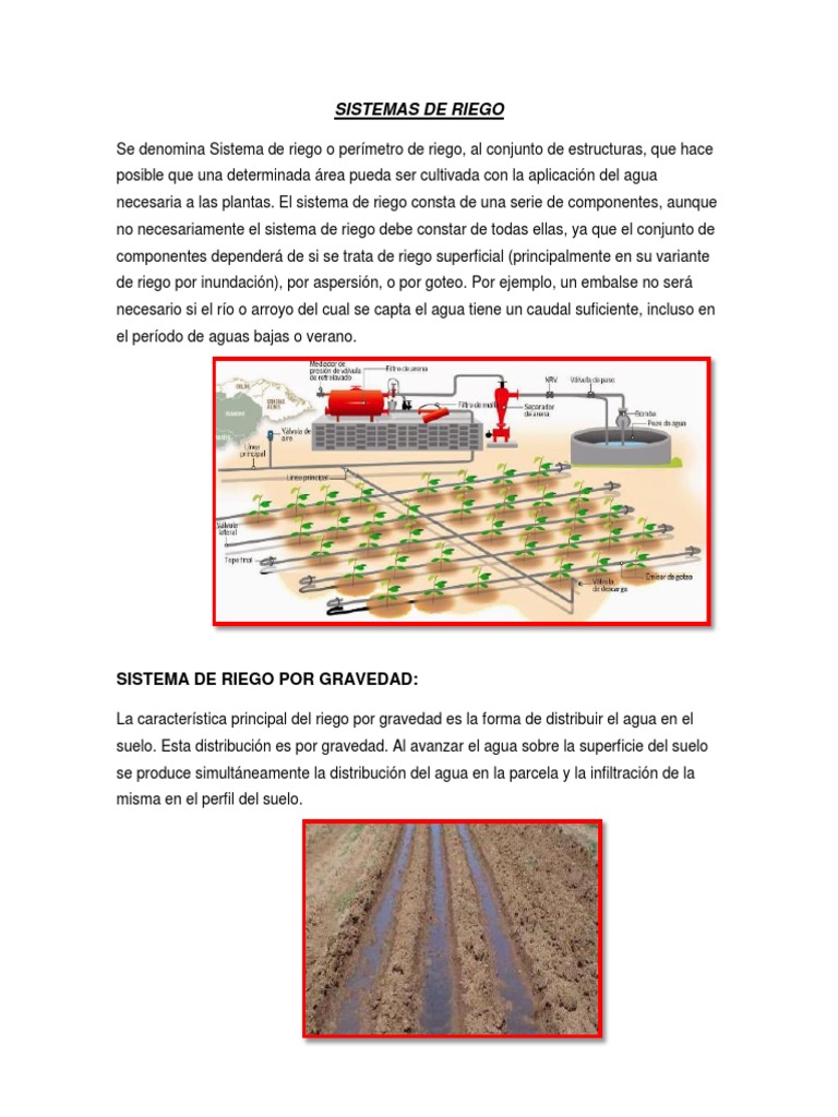Sistemas de Riego PDF Riego Hidrología