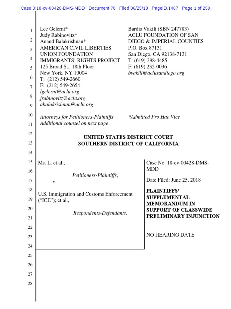 Aclu Brief Pdf U S Customs And Border Protection American Government