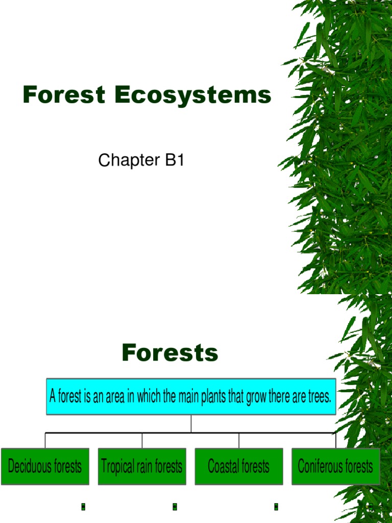 Overview of Forest Ecosystems | PDF | Home & Garden