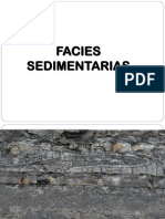 Facies Sedimentarias