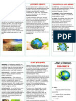 Introdución: Características Del Medio Ambiente: ¿Qué Es Medio Ambiente?