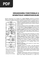 Dan Georgescu Semiologie Medicala Pdf Files