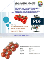 FORMULACION DEL CALCIO.pdf