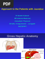 Download Jaundice Master PPT by Suresh Kubavat SN38257492 doc pdf