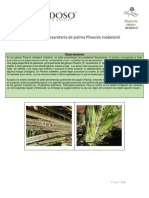 Reporte Situacion de Cochinilla Roja y Pc en Vdm 2017