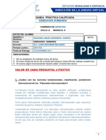 PRACTICA 2 - DERECHOS-HUMANOS-ok PDF