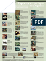 Especies en Peligro Poster PDF