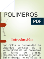 Polimeros Felicitas Exposicion