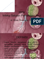 Presentasi Ispa