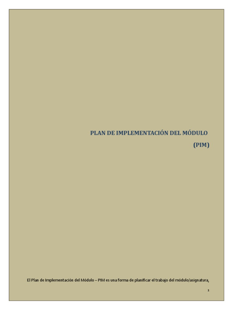 Formato Pim Explicado | PDF | Maestros | Parto