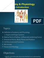 Anatomy & Physiology: An Introduction