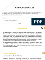 Modelo Informe PPP