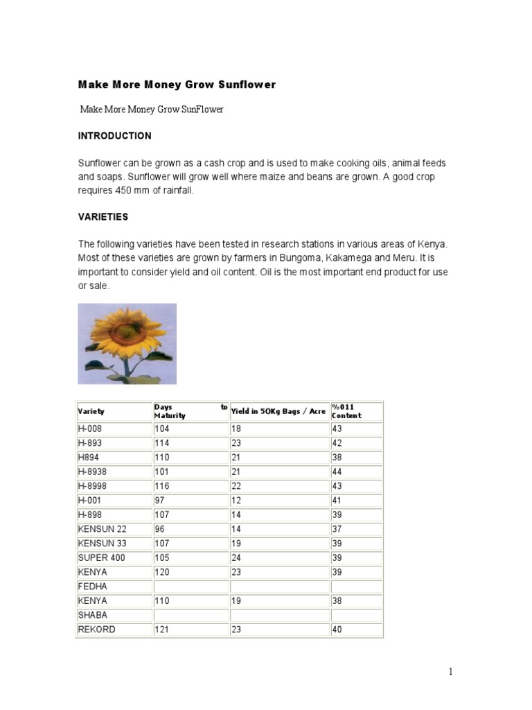 Make More Money Grow Sunflower Variety Days To Maturity Yield in 5okg