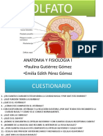 5C1 OLFATO.pdf