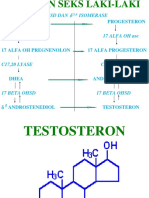 Hormon Androgen