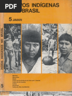 Povos Indígenas no Brasil - volume 5