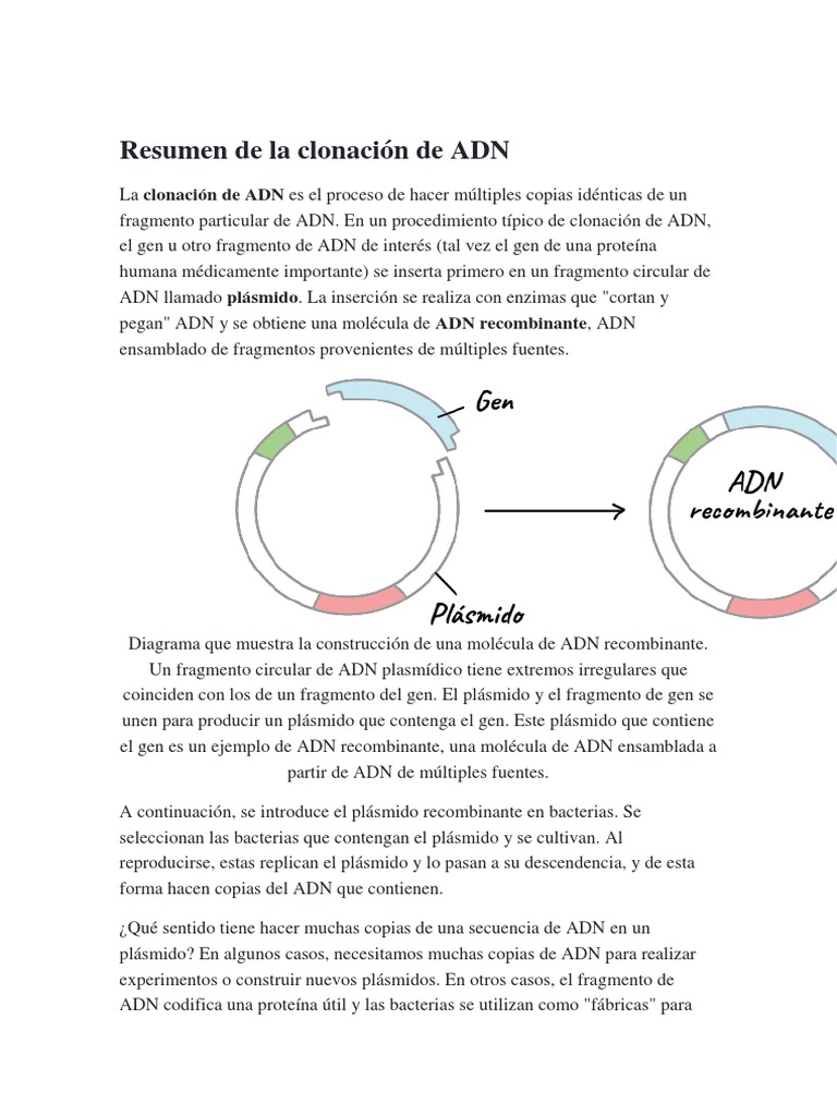 Resumen de La Clonación de ADN | PDF | Plásmido | ADN recombinante